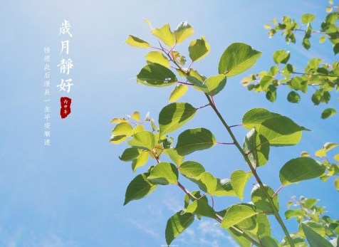愿歲月靜好，山河無恙